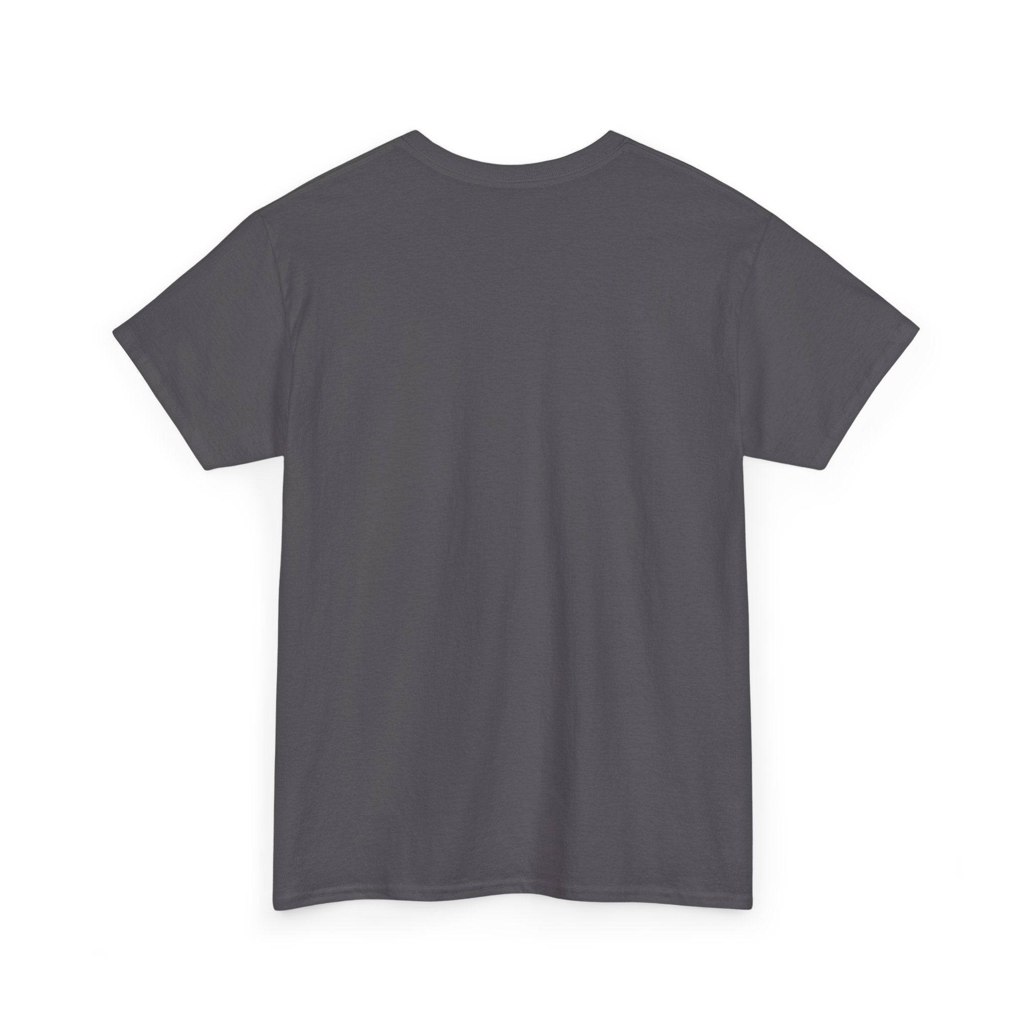 Beach Hair Don't Care T-Shirt